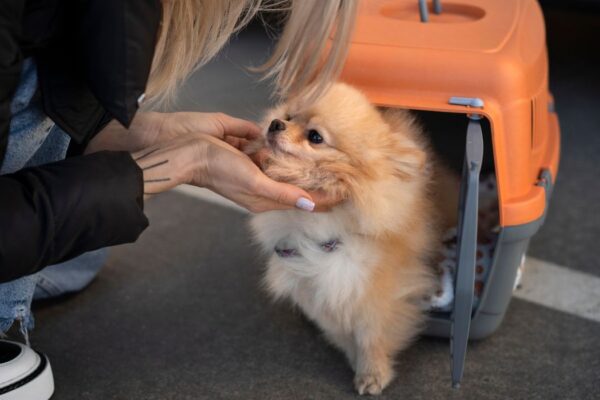 Pet's Passport