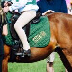 equestrian paralympics 2024 2024